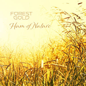 97免费在线视频
